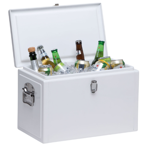 Detroit 20L Cooler Box