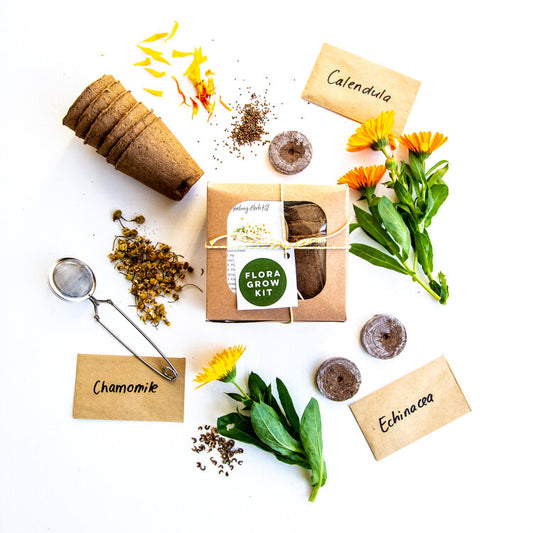 Flora Grow - The Healing Herb Kit