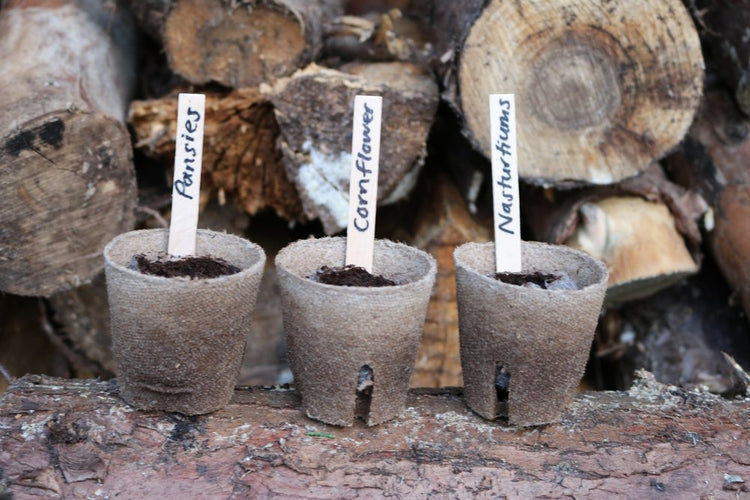 FLORA - The Edible Flower Kit