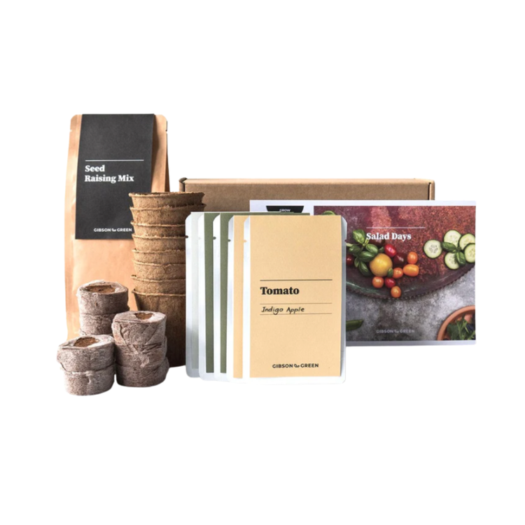 Gibson & Green - Salad Days Grow Kit