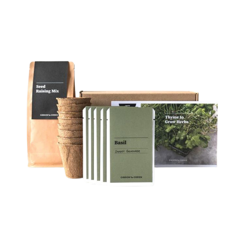 Gibson & Green - Thyme to Grow Herbs Grow Kit
